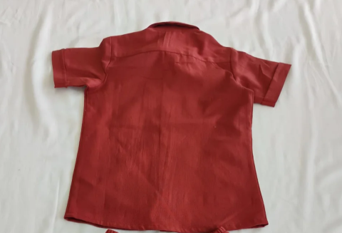 Joey Stripe Shirt- Wine