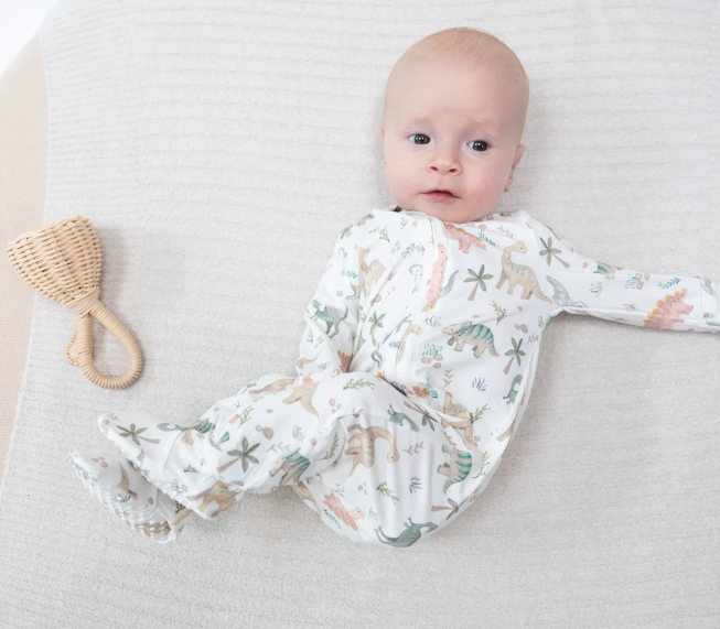 2 Way Zipper Footie- Sweet Baby Dinos