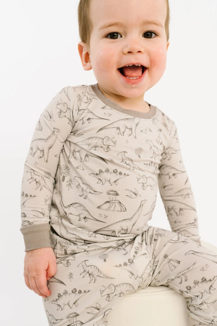 Dino Doodles Bamboo Set