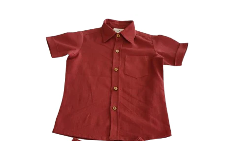 Joey Stripe Shirt- Wine