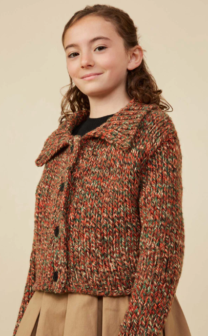 Sammy Collared Multicolored Yarn Buttoned Cardigan - Brown Mix