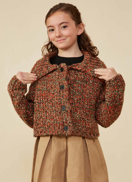 Sammy Collared Multicolored Yarn Buttoned Cardigan - Brown Mix