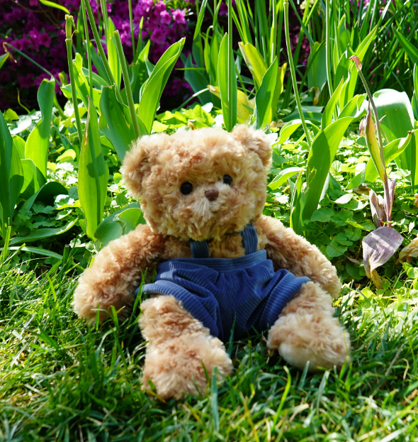 Mavi Plush Bukowski Bear