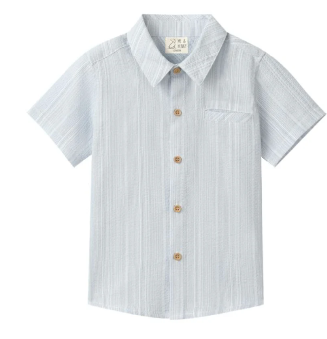 Blue Stripe Newport Woven Shirt