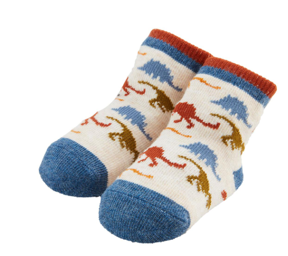 Dino Pattern Socks