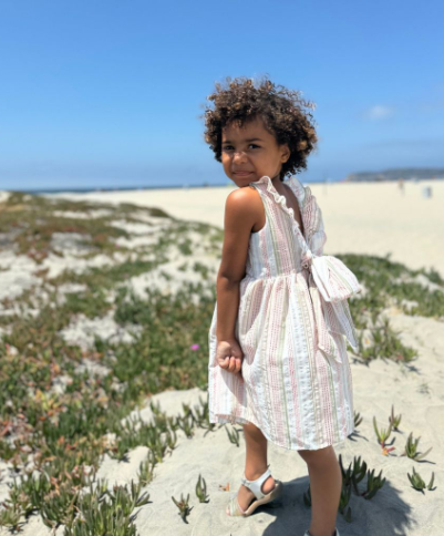 Jewel Dress- Pink Multi-Stripe