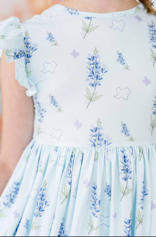 Allie Twirl Dress- TX Bluebonnets