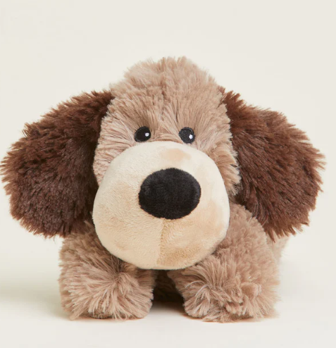 Junior Brown Dog Warmie