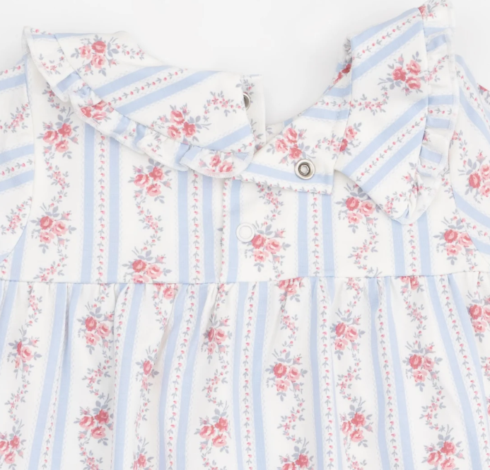 LS Ruffle Dress & Bloomer-Anna Floral Stripe